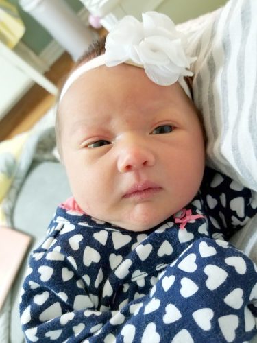 Naomi Ann Carr